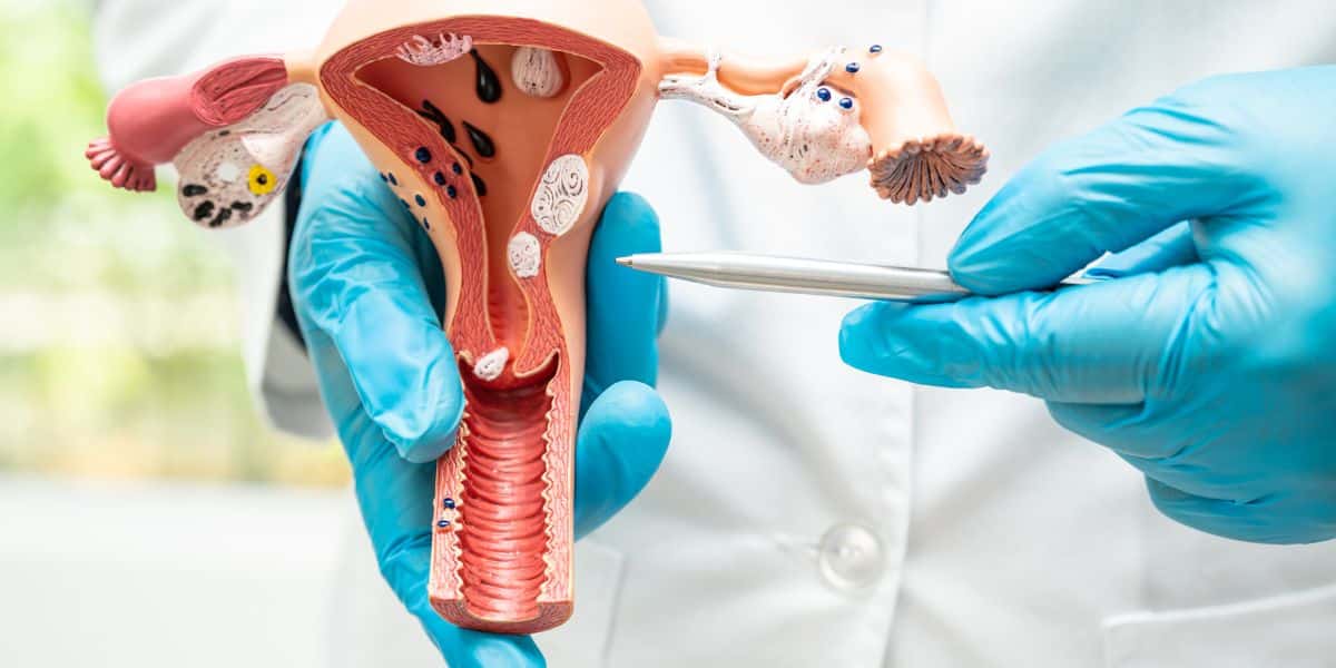 ESTUDIOS GINECOLÓGICOS